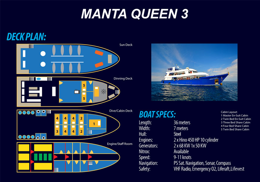 Agencement du Manta queen3